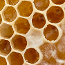 GOLDEN CUBES